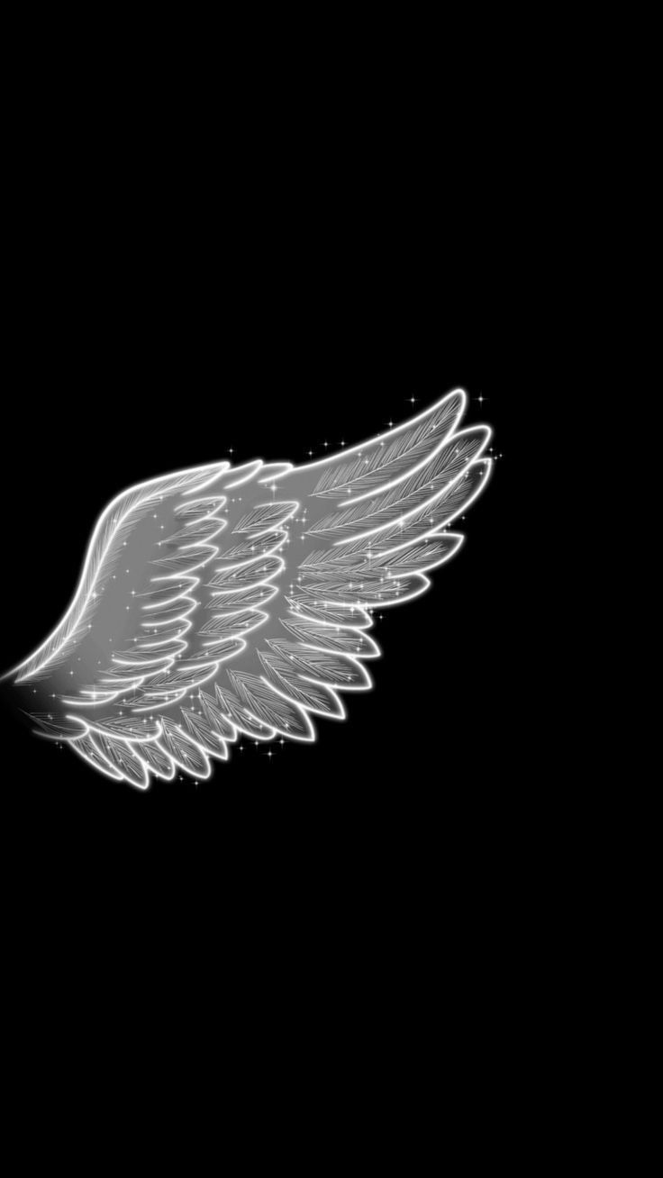 Black and White Wings Wallpapers Top Free Black and White Wings