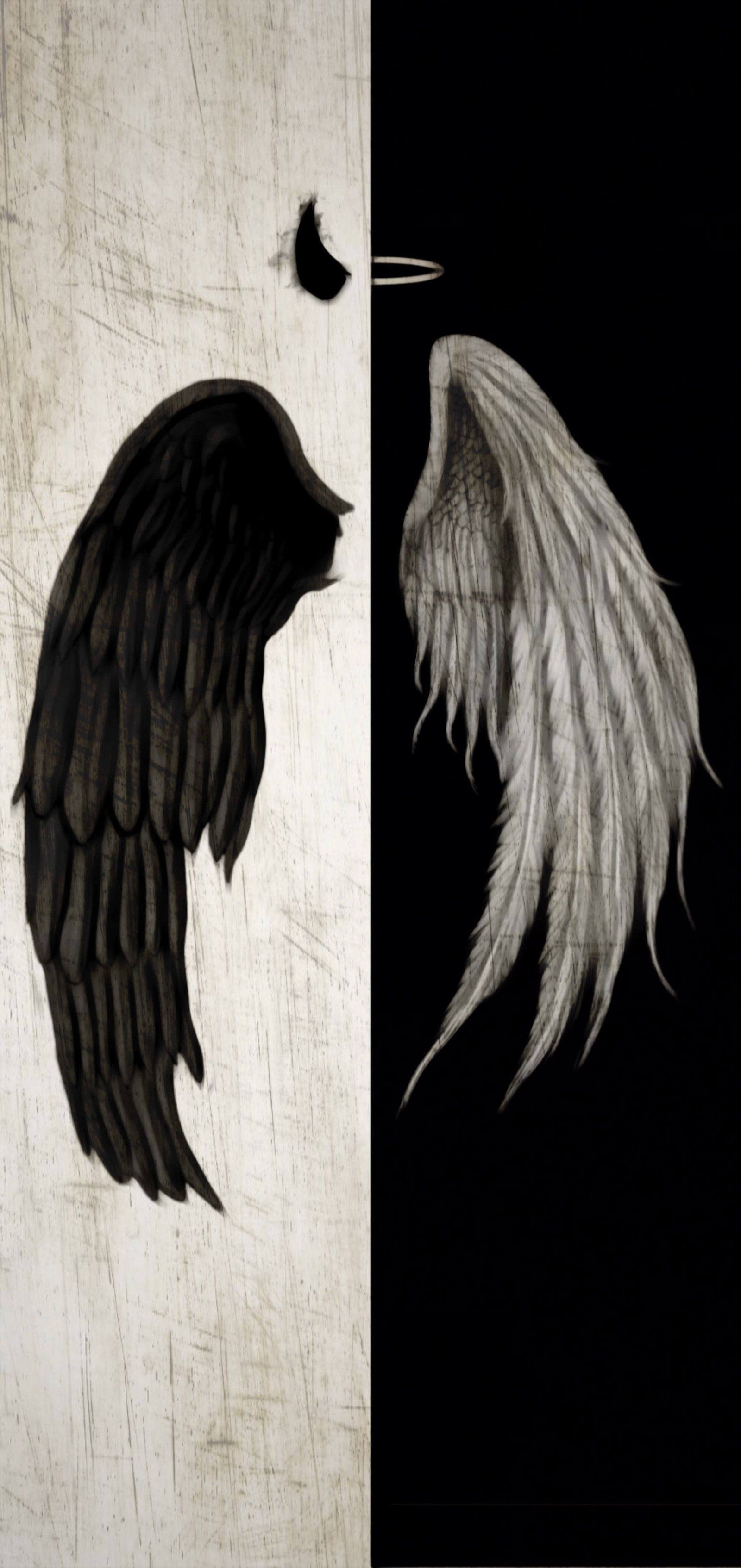 Black and White Wings Wallpapers Top Free Black and White Wings