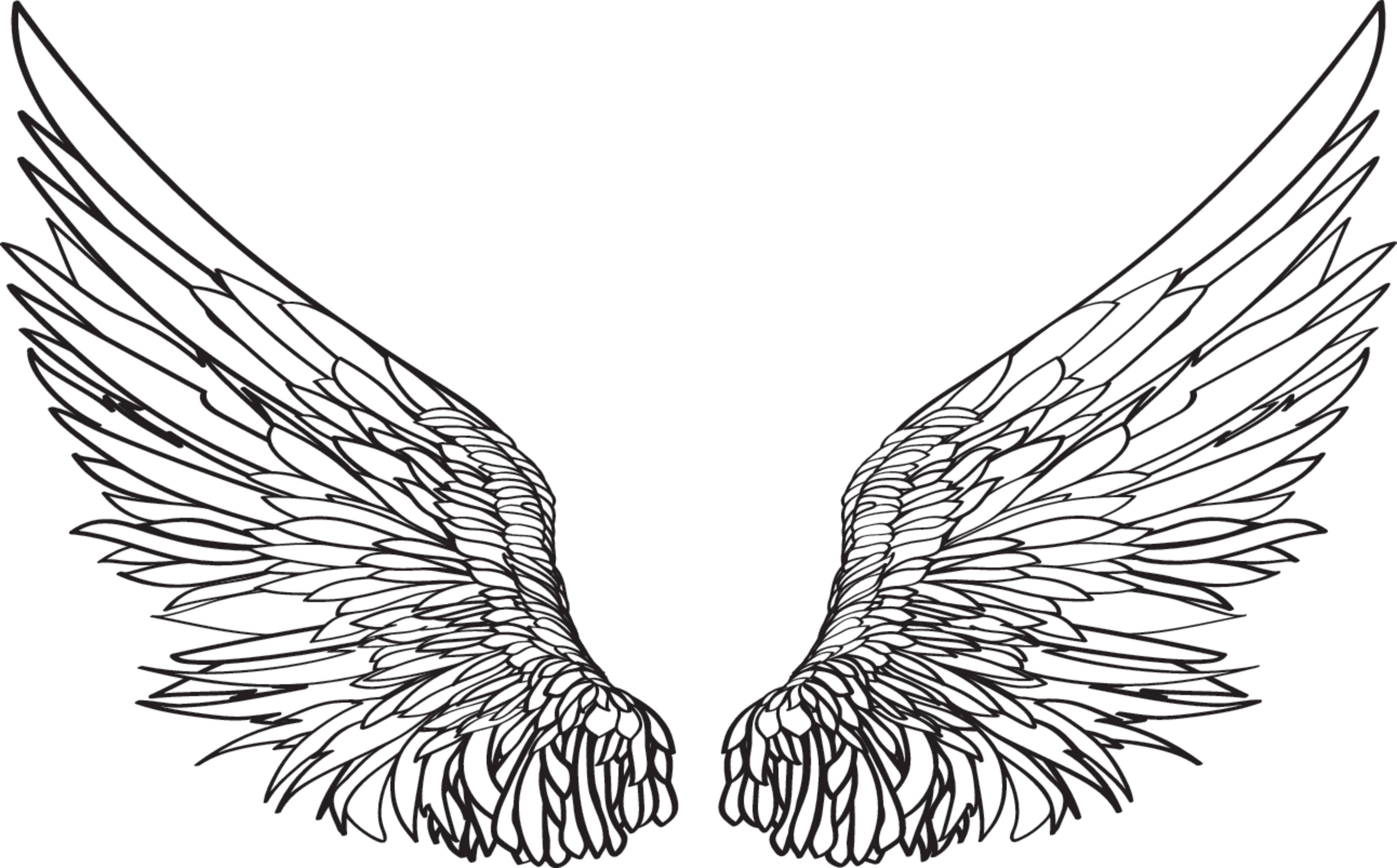 Black and White Wings Wallpapers Top Free Black and White Wings