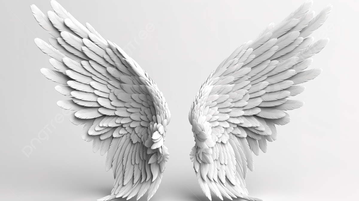 Black and White Wings Wallpapers Top Free Black and White Wings