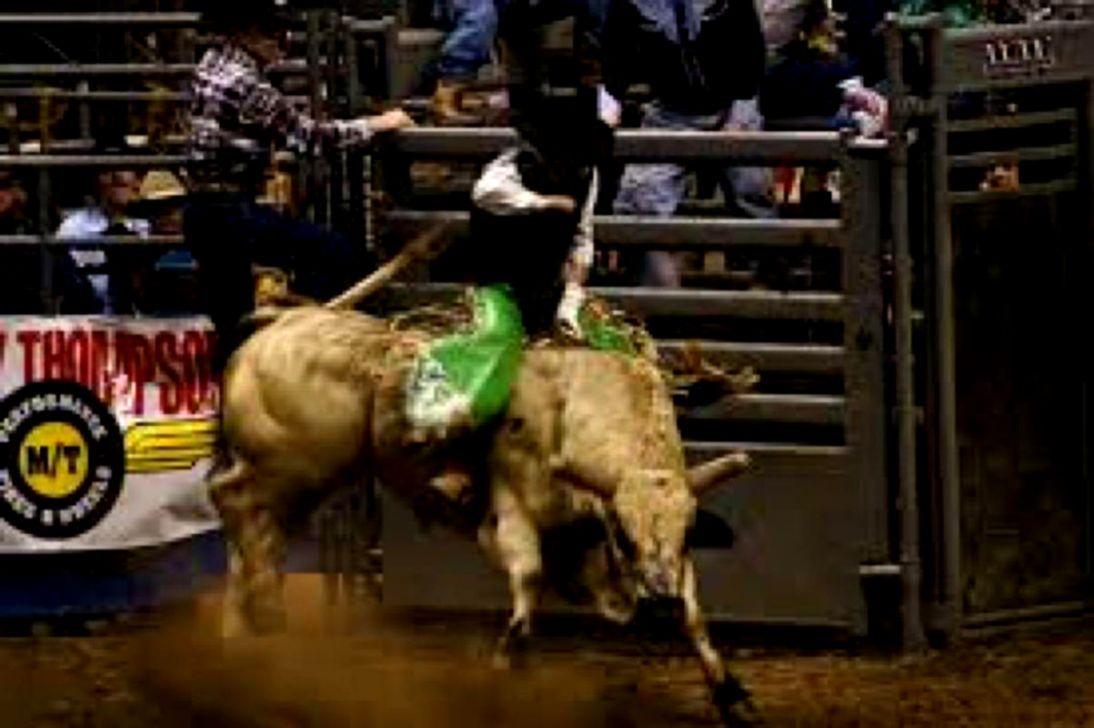 Bull Riding Wallpapers Top Free Bull Riding Backgrounds WallpaperAccess