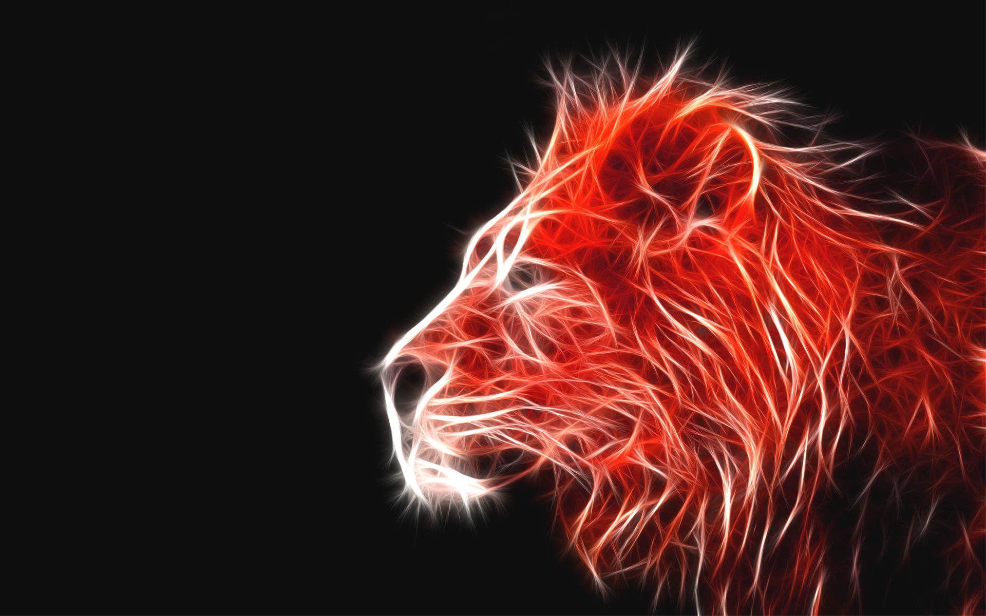 Cool Fire Lion Wallpapers Top Free Cool Fire Lion Backgrounds