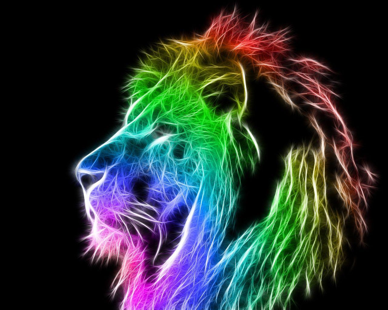 Animal Colour Wallpapers Top Free Animal Colour Backgrounds