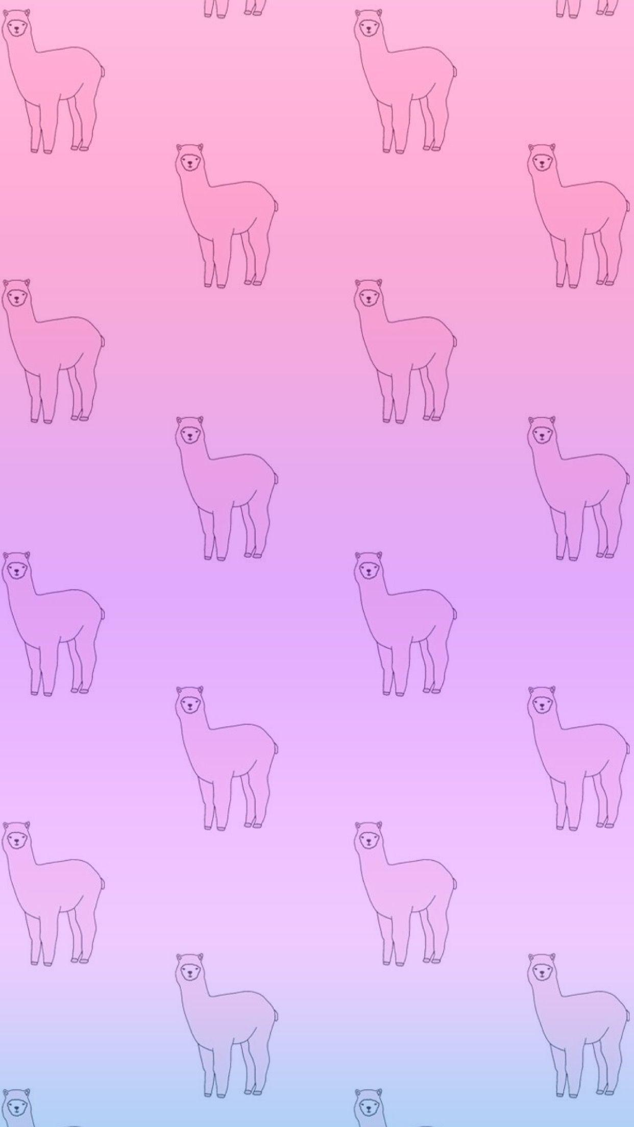 Cute Llama Wallpapers Top Free Cute Llama Backgrounds WallpaperAccess