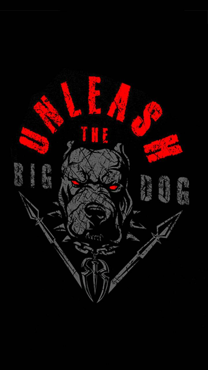 Big Dog Wallpapers Top Free Big Dog Backgrounds WallpaperAccess