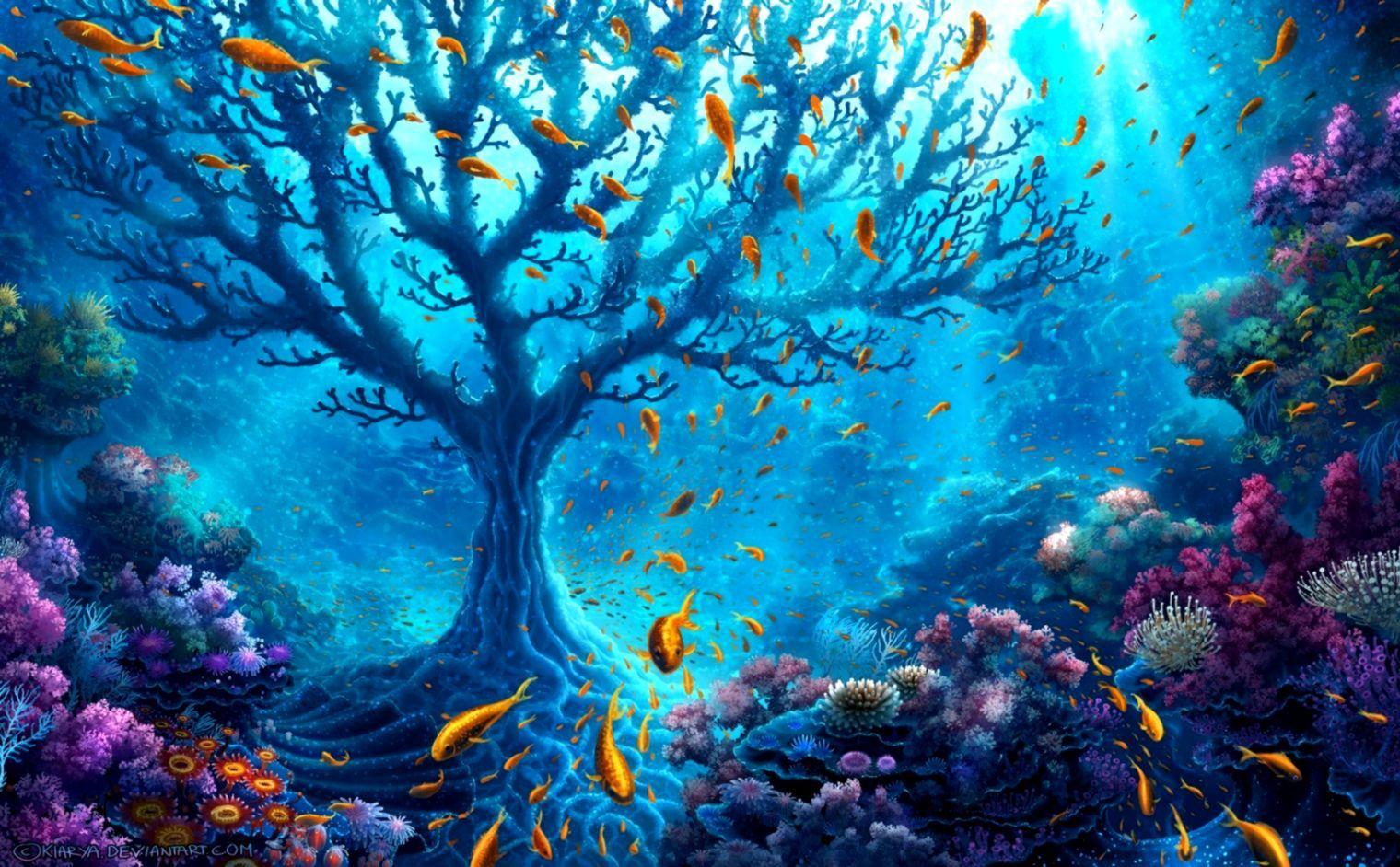 Beautiful Underwater Wallpapers Top Free Beautiful Underwater