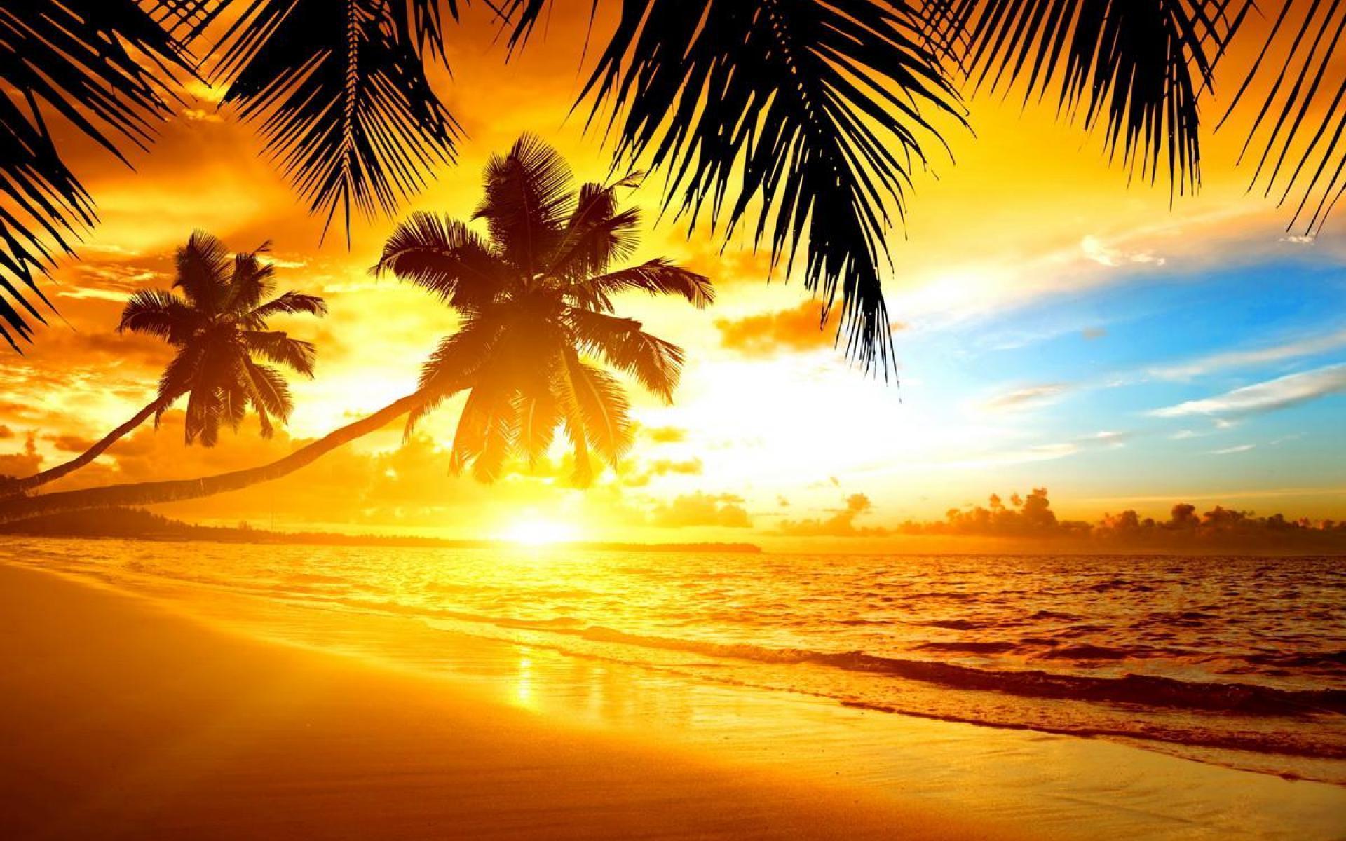 Tropical Beach Sunset Wallpapers Top Free Tropical Beach Sunset