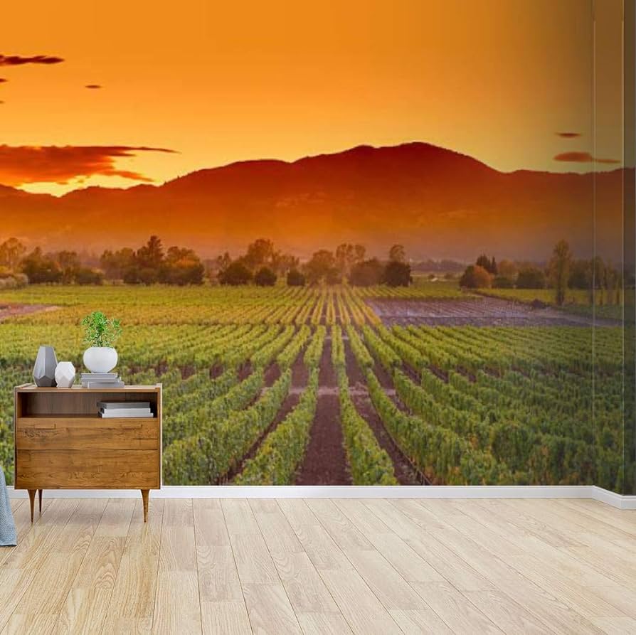 Napa Valley Wallpapers Top Free Napa Valley Backgrounds WallpaperAccess