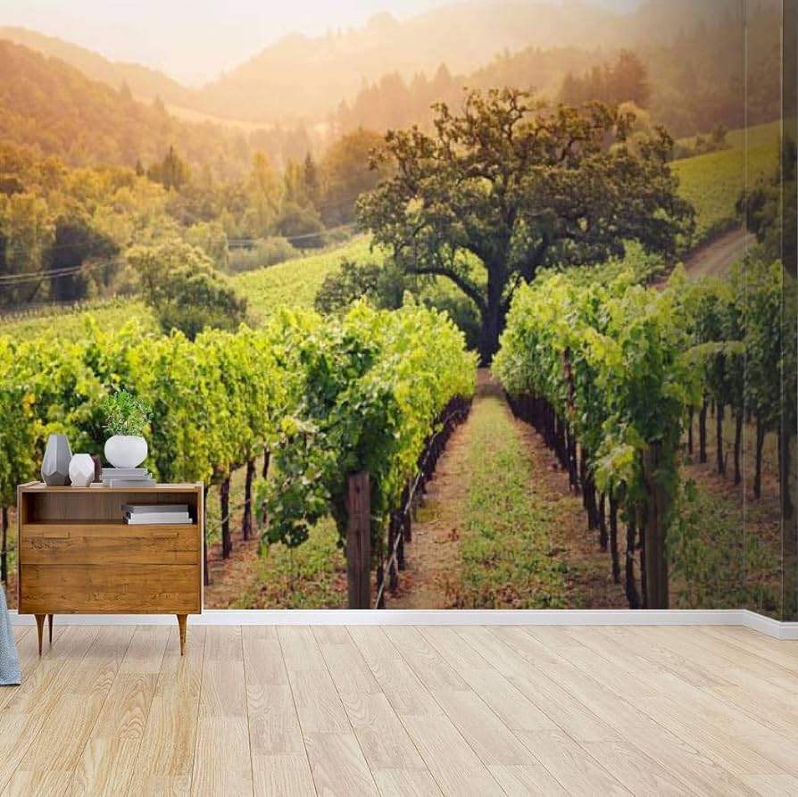 Napa Valley Wallpapers Top Free Napa Valley Backgrounds WallpaperAccess