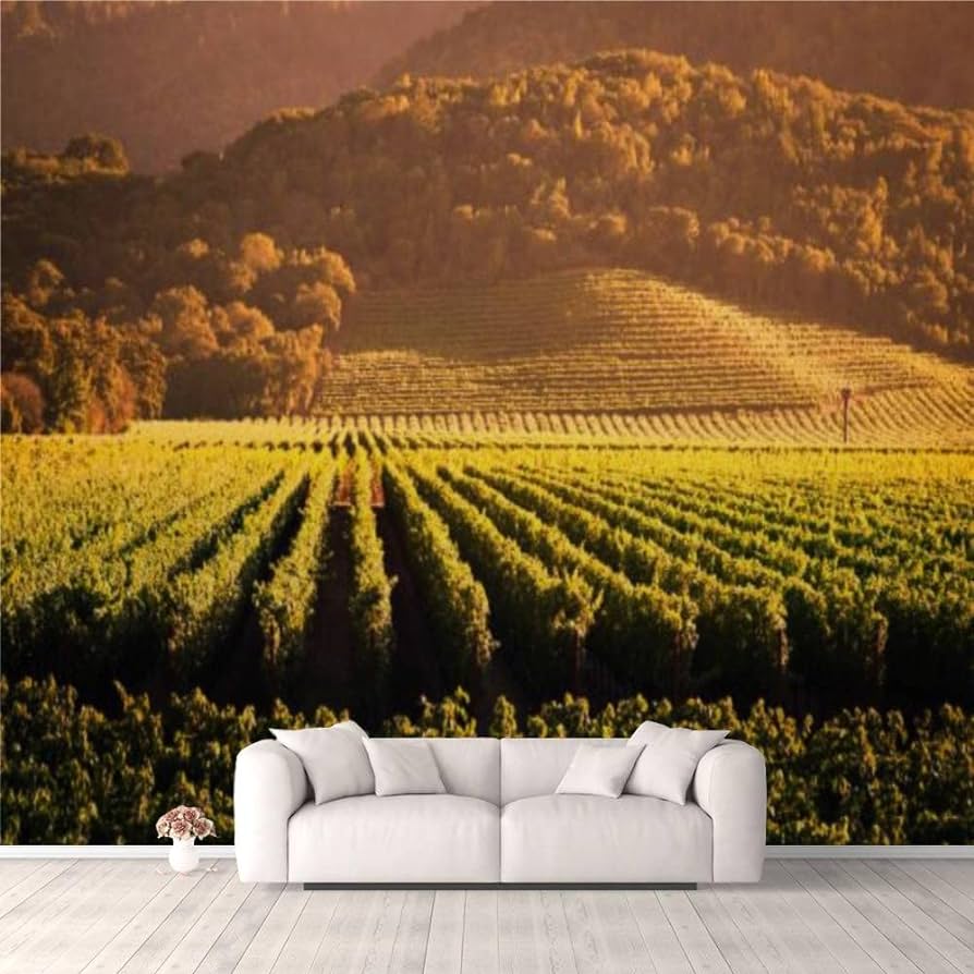 Napa Valley Wallpapers Top Free Napa Valley Backgrounds WallpaperAccess