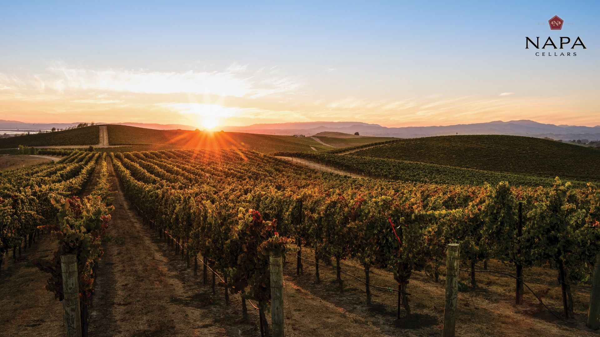 Napa Valley Wallpapers Top Free Napa Valley Backgrounds WallpaperAccess