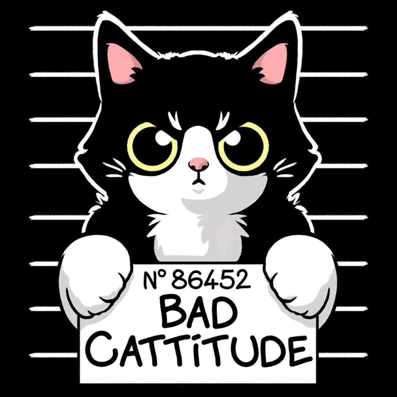 Bad Cat Wallpapers Top Free Bad Cat Backgrounds WallpaperAccess