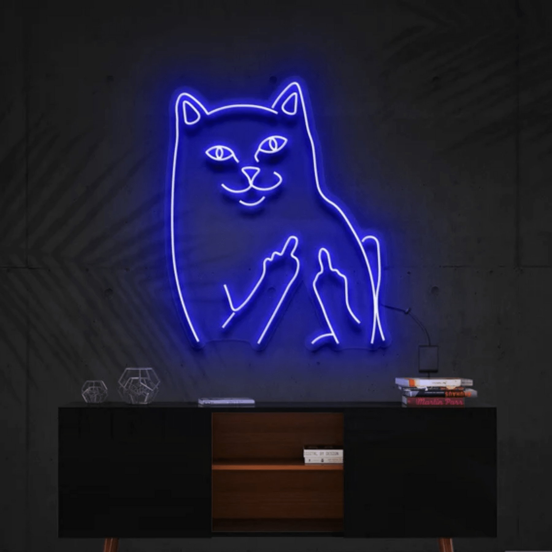 Bad Cat Wallpapers Top Free Bad Cat Backgrounds WallpaperAccess