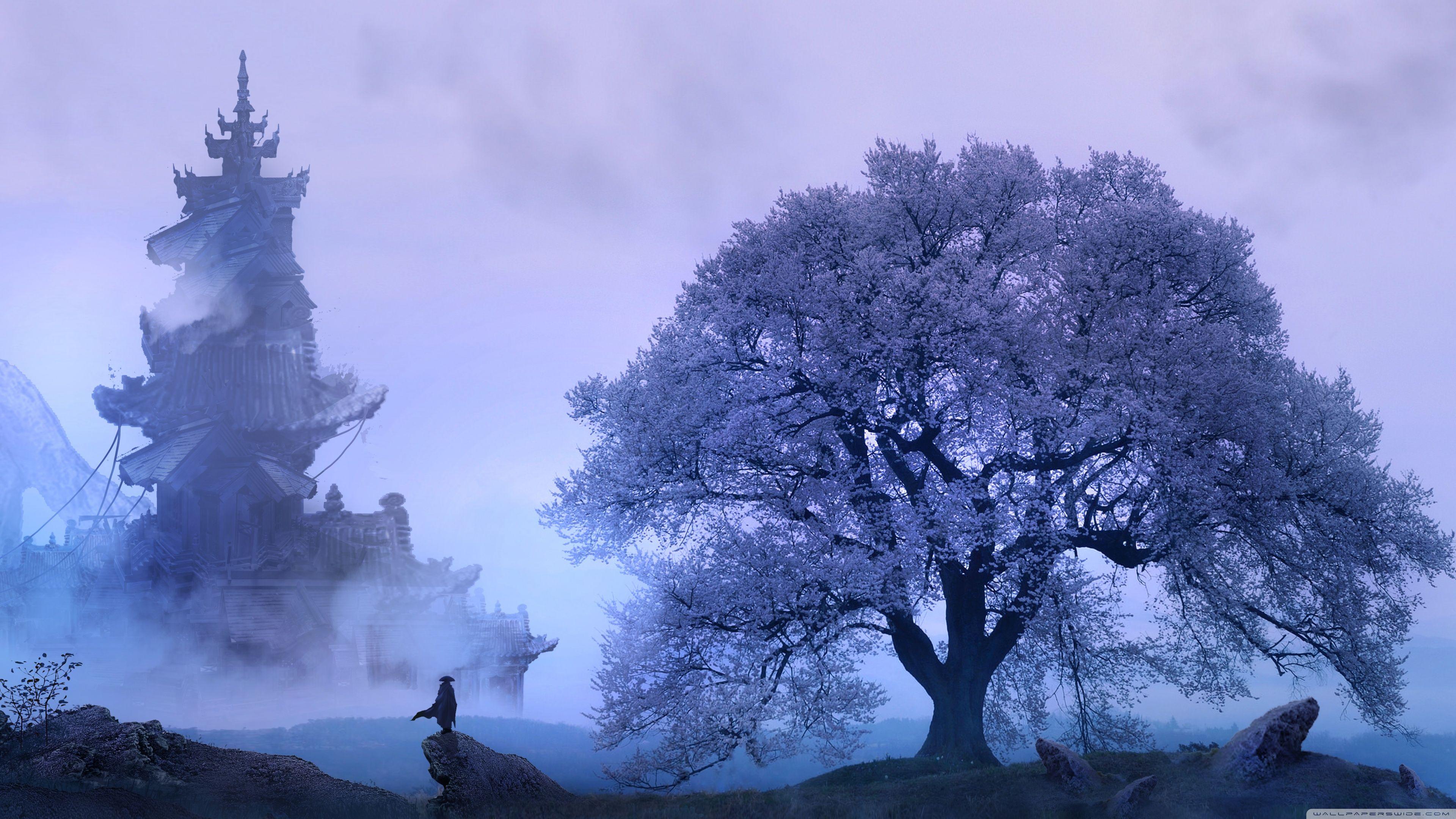 4K HD Desktop Wallpapers Top Free 4K HD Desktop Backgrounds