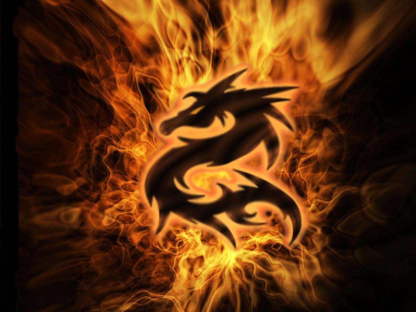 Black and Gold Dragon Wallpapers Top Free Black and Gold Dragon