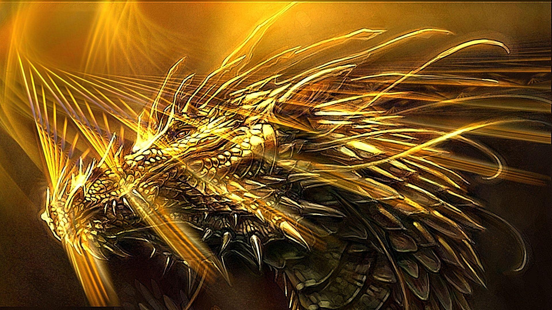 Black and Gold Dragon Wallpapers Top Free Black and Gold Dragon