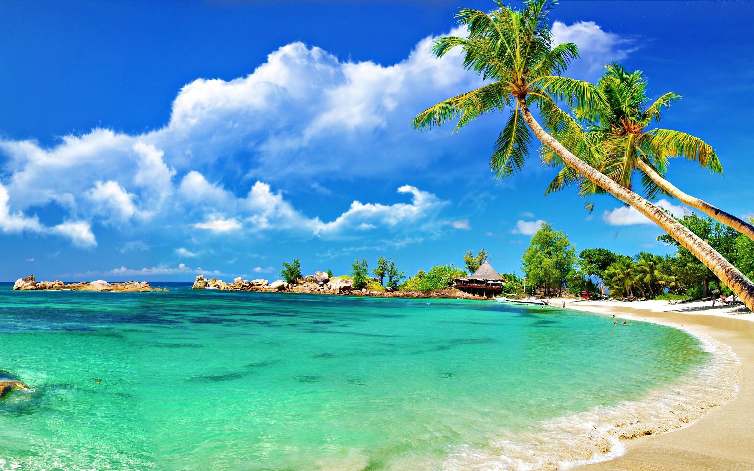 Beach Landscape Wallpapers Top Free Beach Landscape Backgrounds