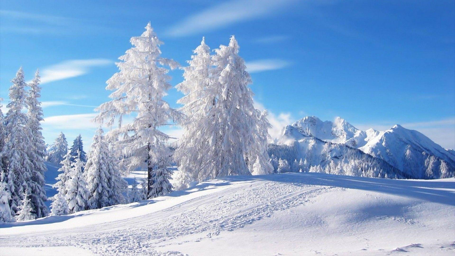 Snowy Landscape Wallpapers Top Free Snowy Landscape Backgrounds