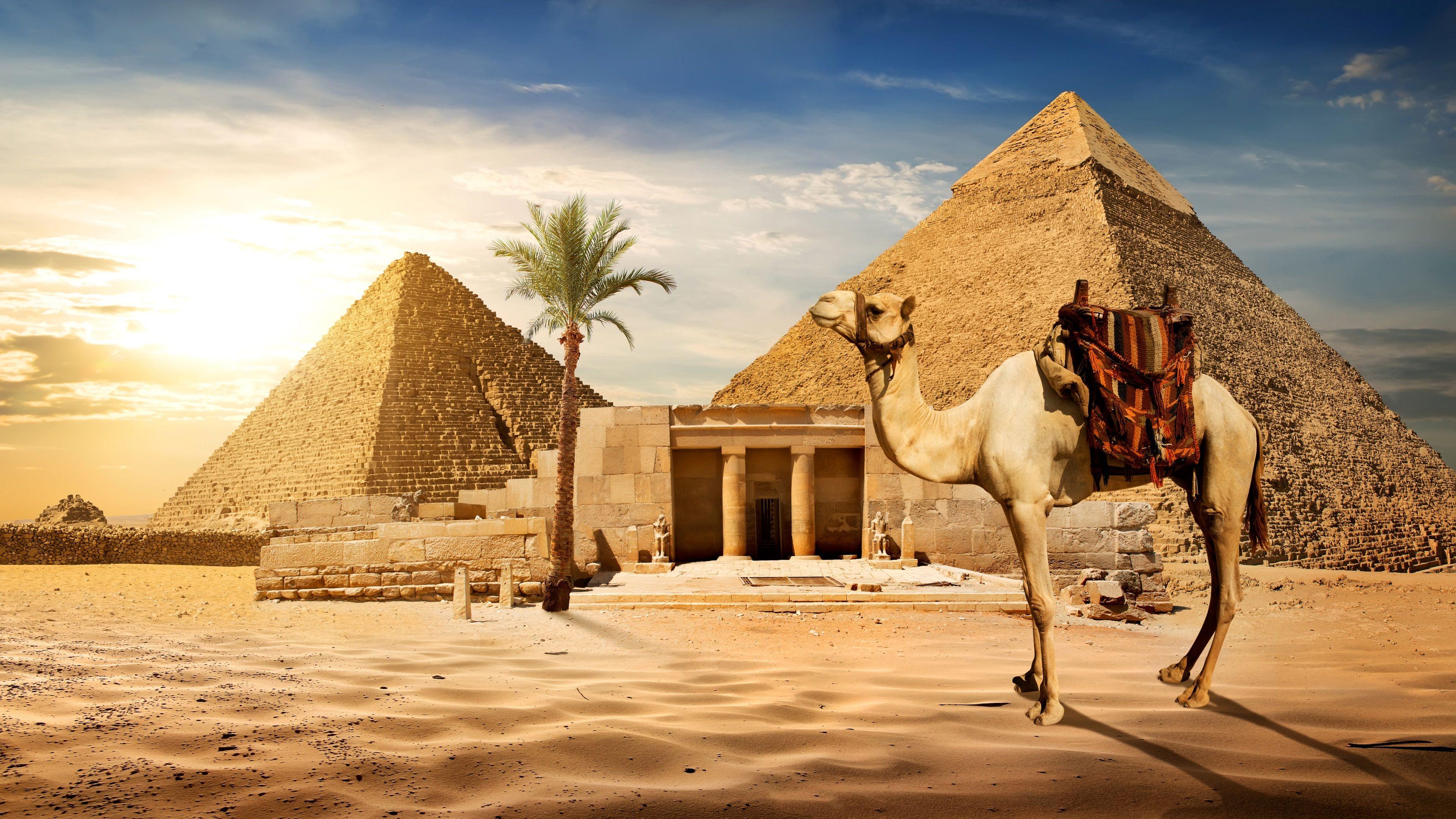 4K Egypt Wallpapers Top Free 4K Egypt Backgrounds WallpaperAccess