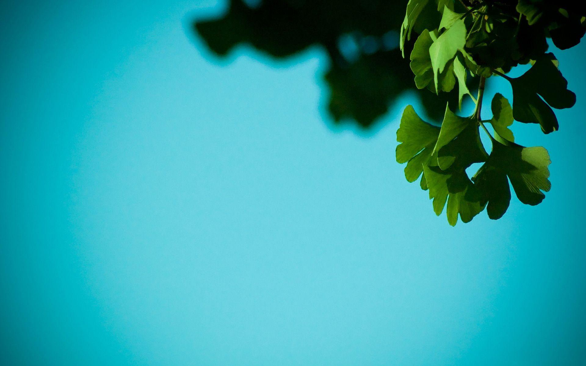 Simple Nature Wallpapers Top Free Simple Nature Backgrounds