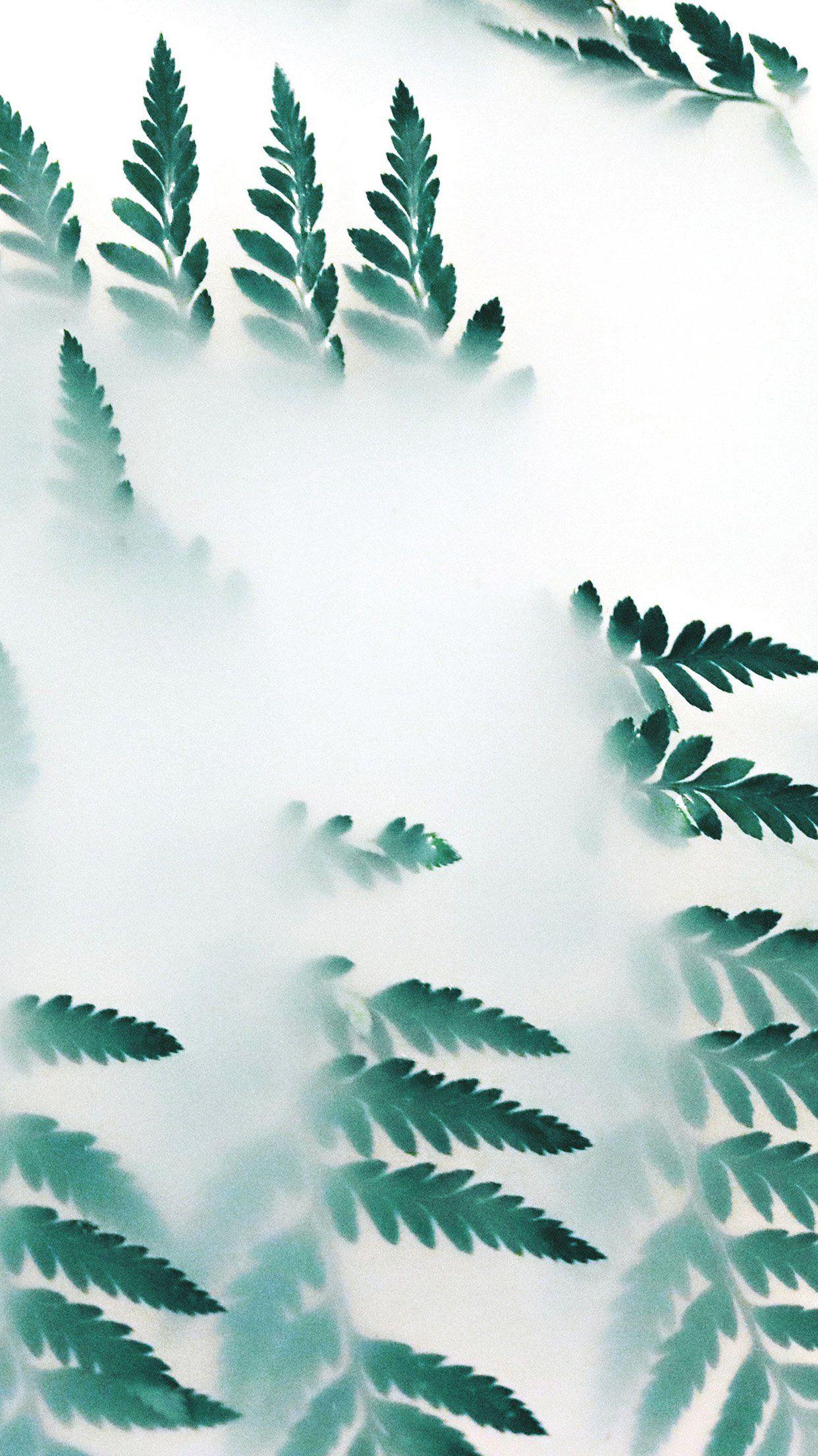 Minimalist Flower Wallpapers Top Free Minimalist Flower Backgrounds