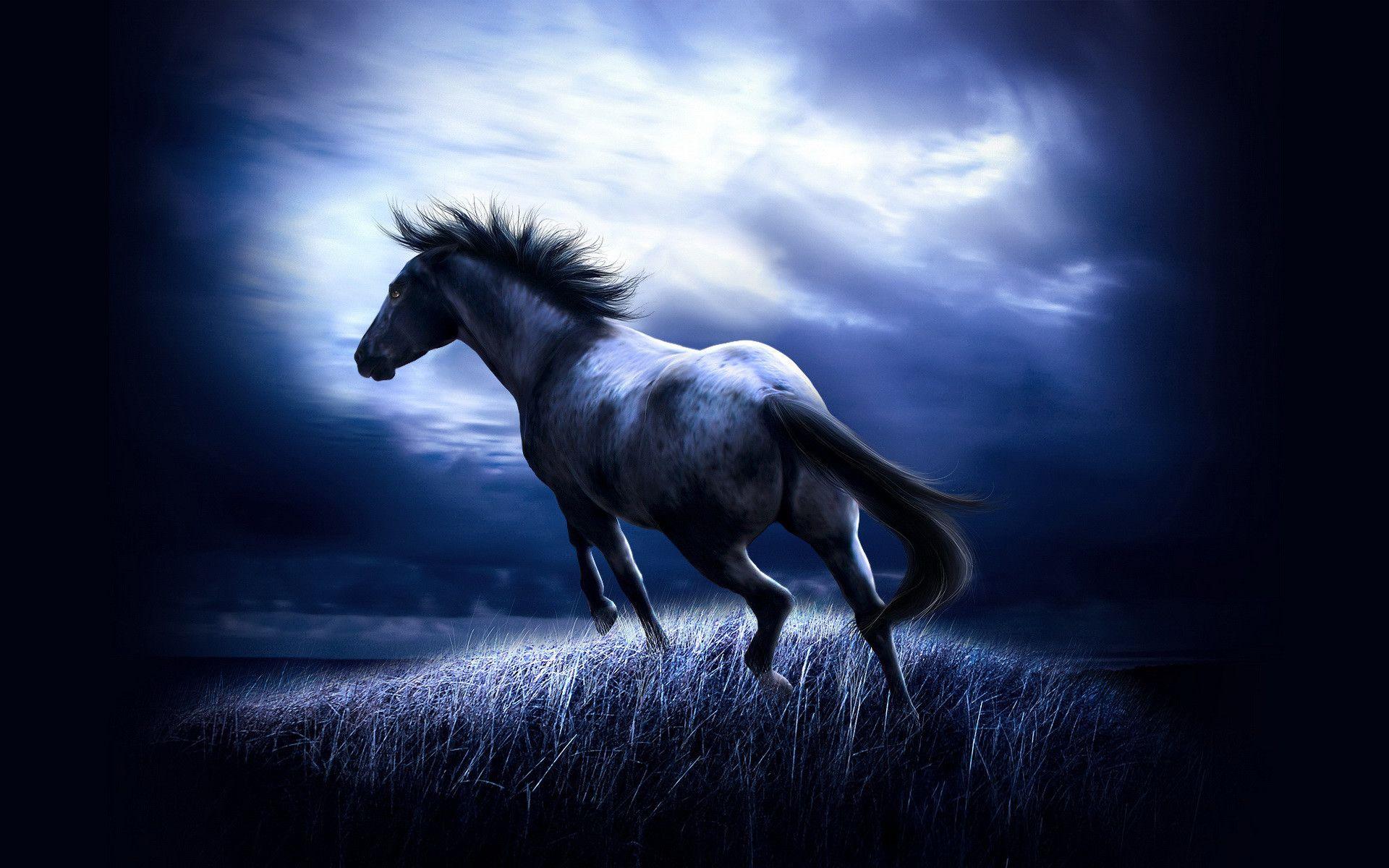 Cool Horse Wallpapers Top Free Cool Horse Backgrounds WallpaperAccess