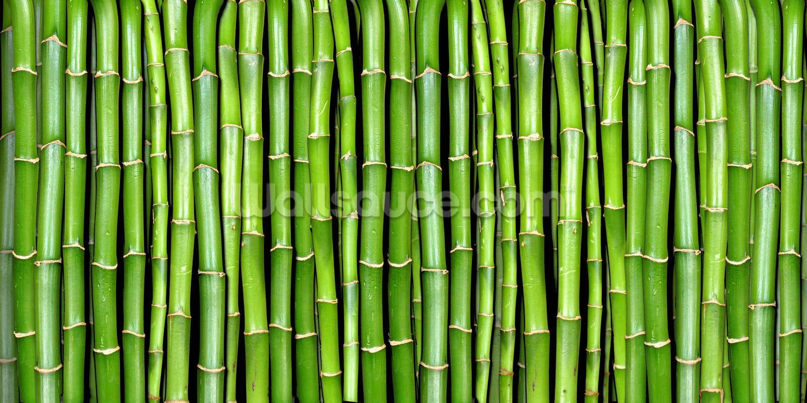 Bamboo Wallpapers Top Free Bamboo Backgrounds WallpaperAccess