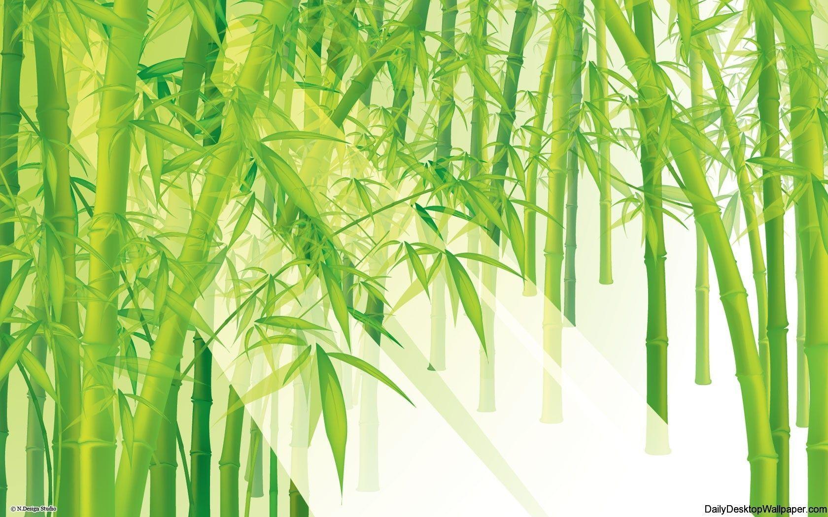 Bamboo Wallpapers Top Free Bamboo Backgrounds WallpaperAccess