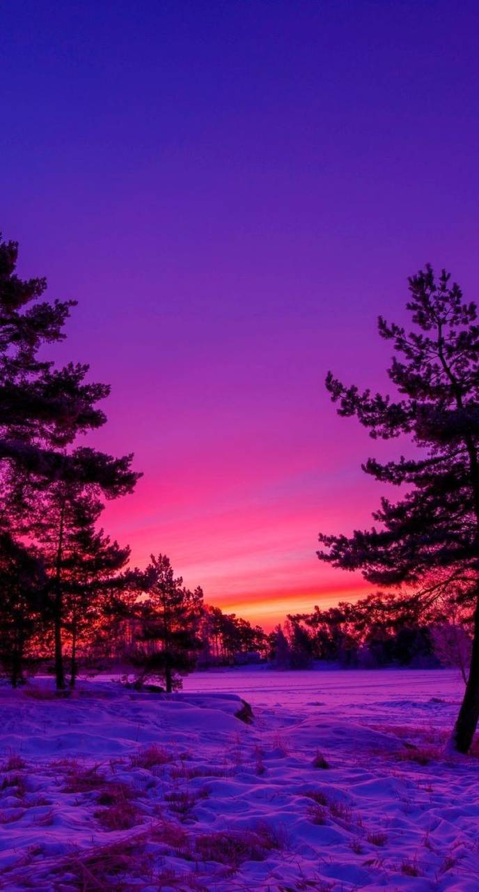 Pink and Purple Nature Wallpapers Top Free Pink and Purple Nature