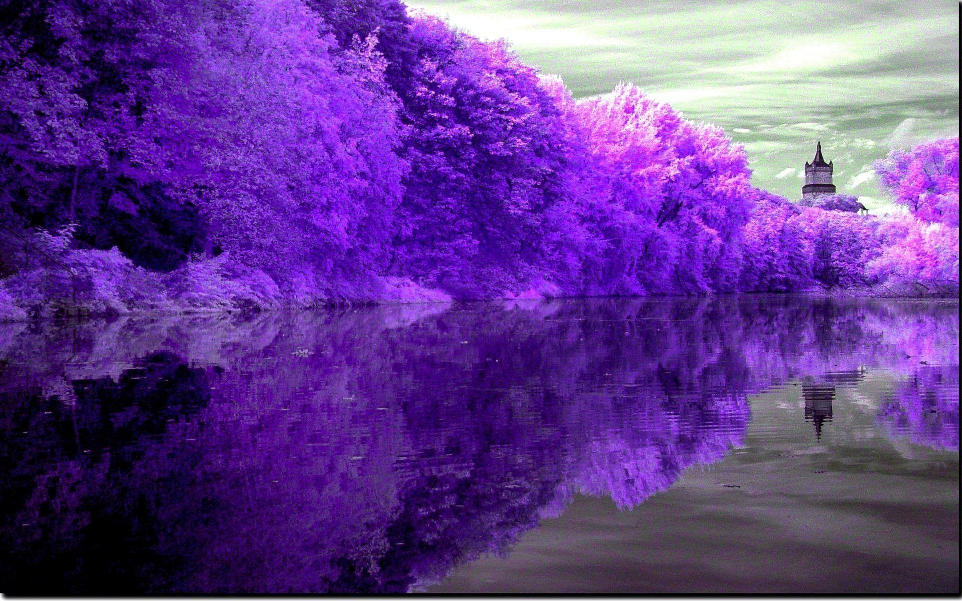 Purple Nature Wallpapers Top Free Purple Nature Backgrounds