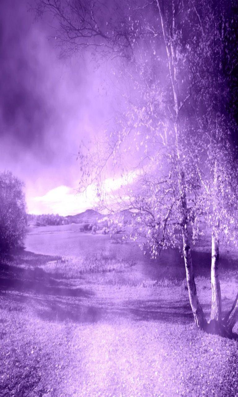 Purple Nature Wallpapers Top Free Purple Nature Backgrounds WallpaperAccess