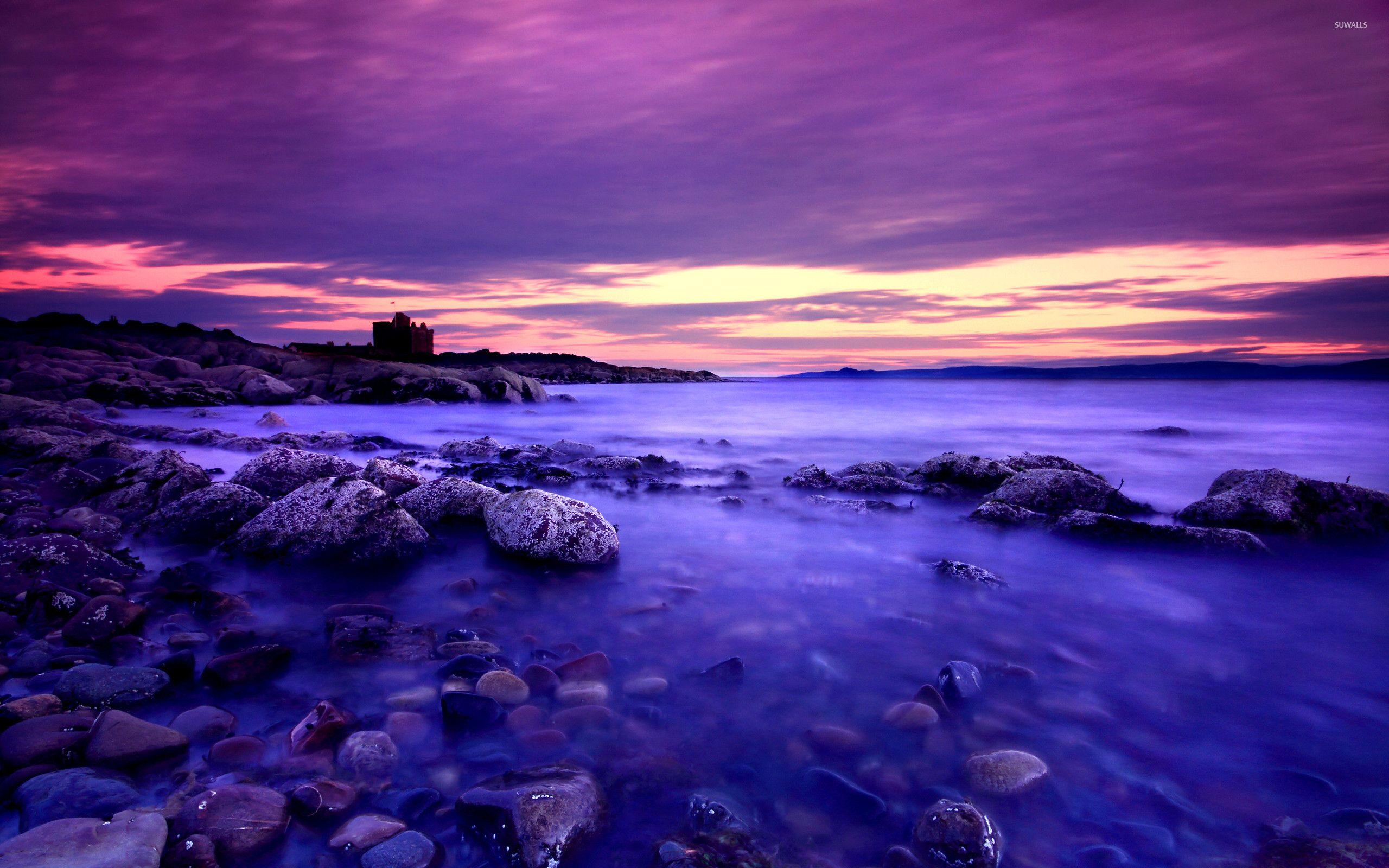 Purple Nature Wallpapers Top Free Purple Nature Backgrounds