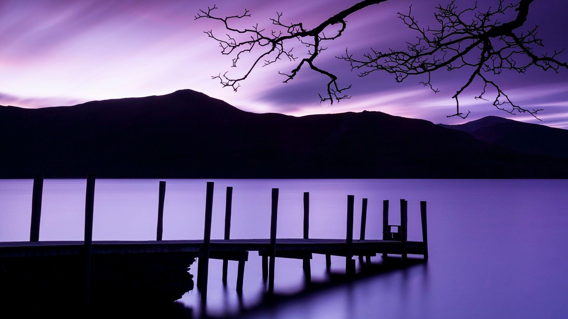 Purple Nature Wallpapers Top Free Purple Nature Backgrounds WallpaperAccess