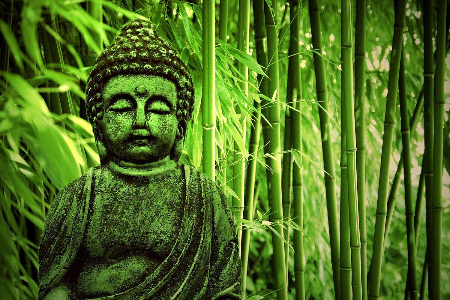 Zen Bamboo Wallpapers Top Free Zen Bamboo Backgrounds WallpaperAccess