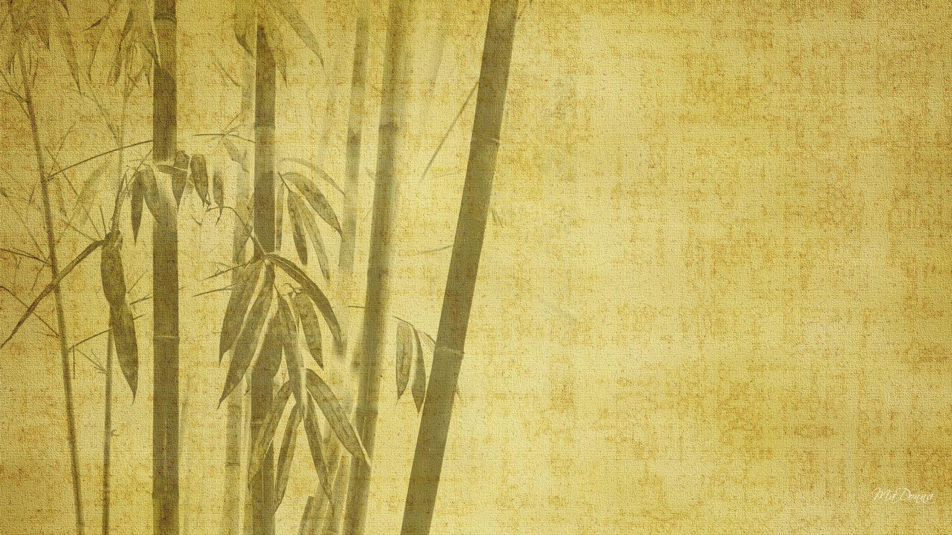 Bamboo Wallpapers Top Free Bamboo Backgrounds WallpaperAccess