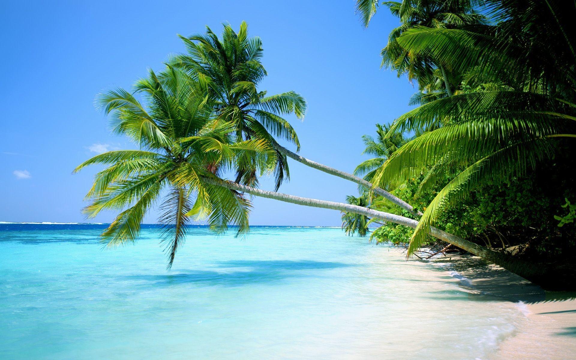 Tropical Island Wallpapers Top Free Tropical Island Backgrounds