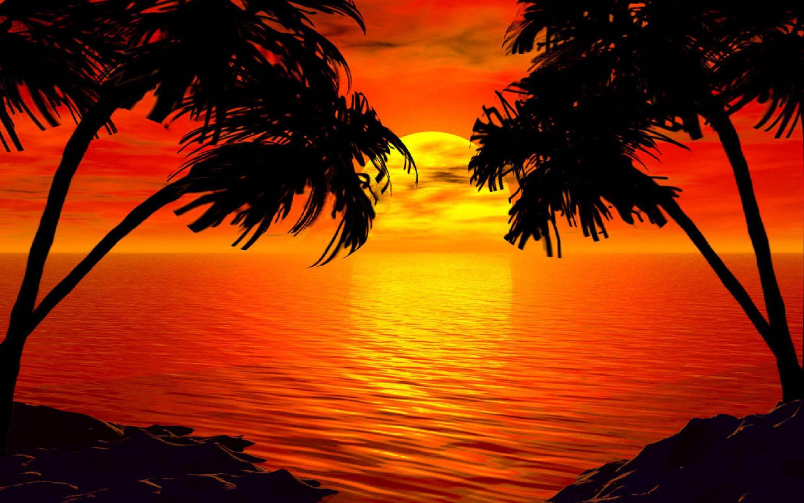 Paradise Sunset Wallpapers Top Free Paradise Sunset Backgrounds