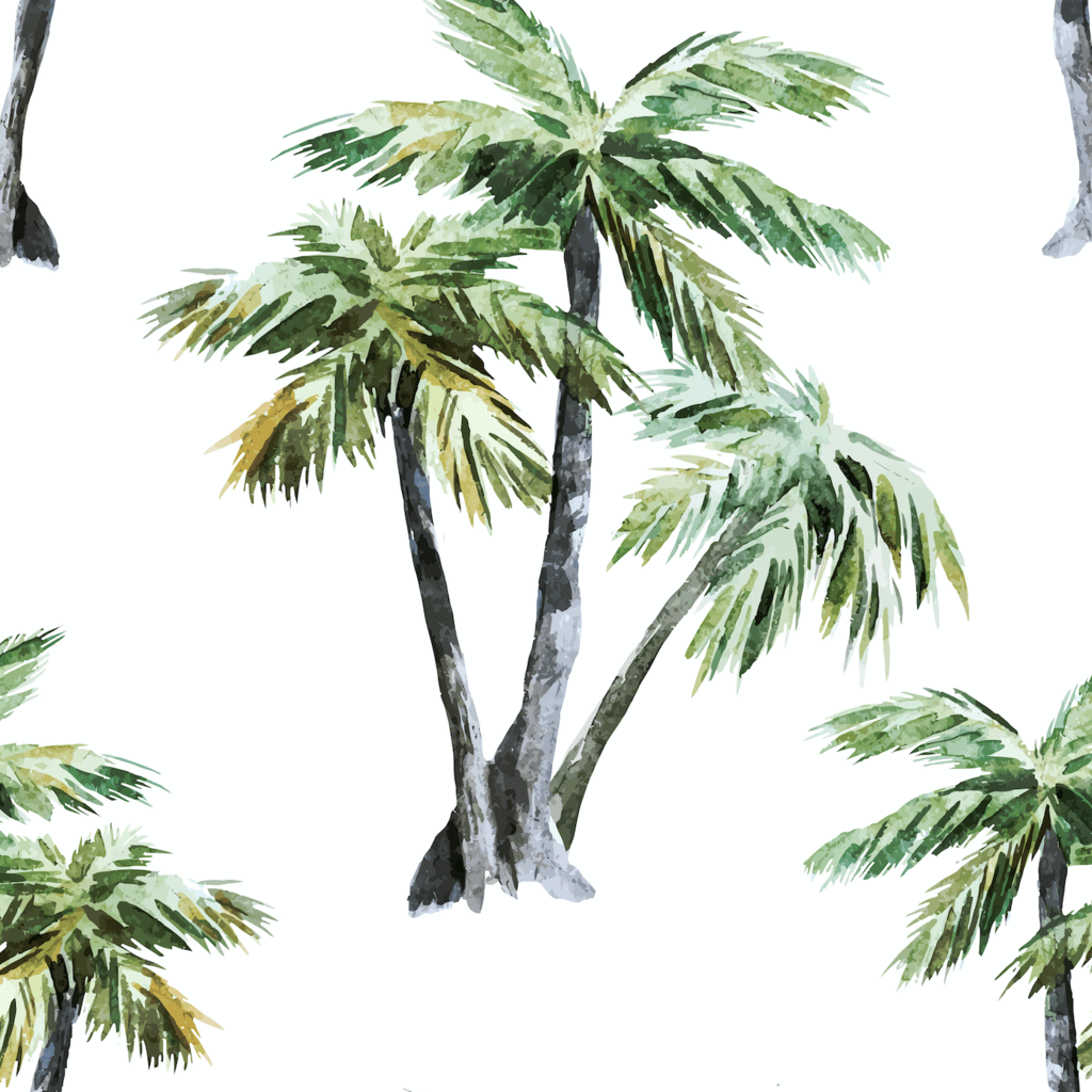 Palm Tree Phone Wallpapers Top Free Palm Tree Phone Backgrounds
