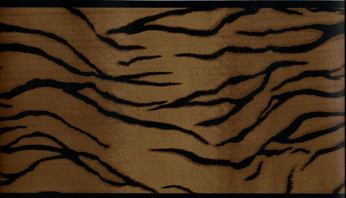 Tiger Stripes Wallpapers Top Free Tiger Stripes Backgrounds