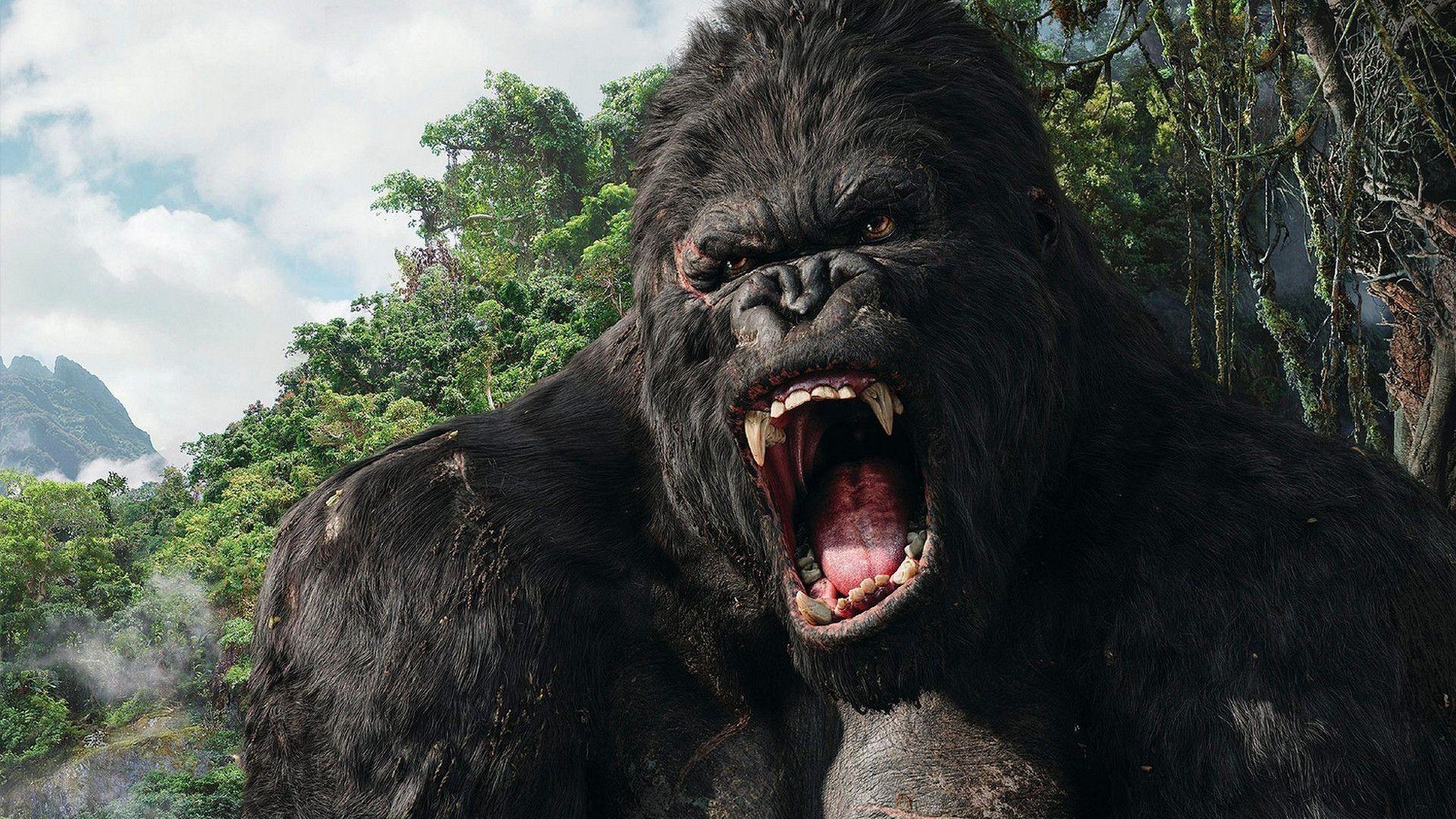 King Kong 4K Wallpapers Top Free King Kong 4K Backgrounds
