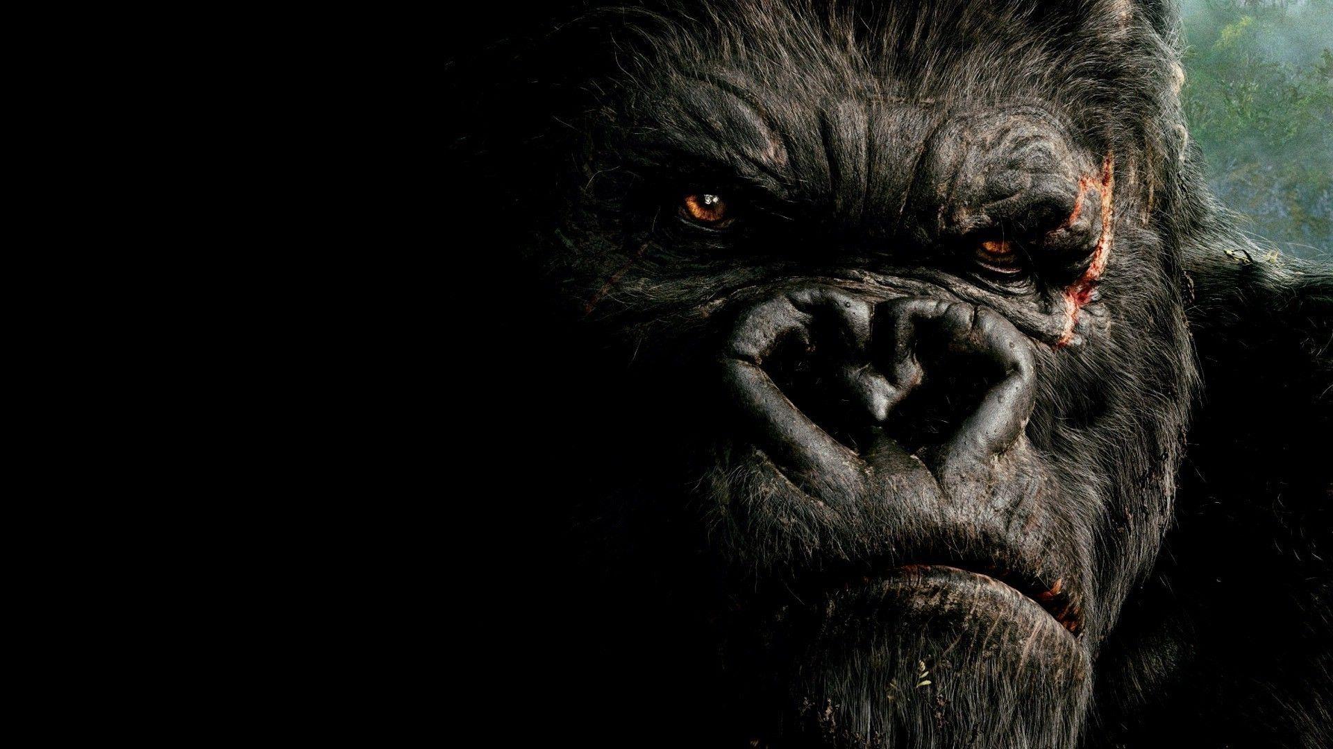 King Kong Wallpapers Top Free King Kong Backgrounds WallpaperAccess