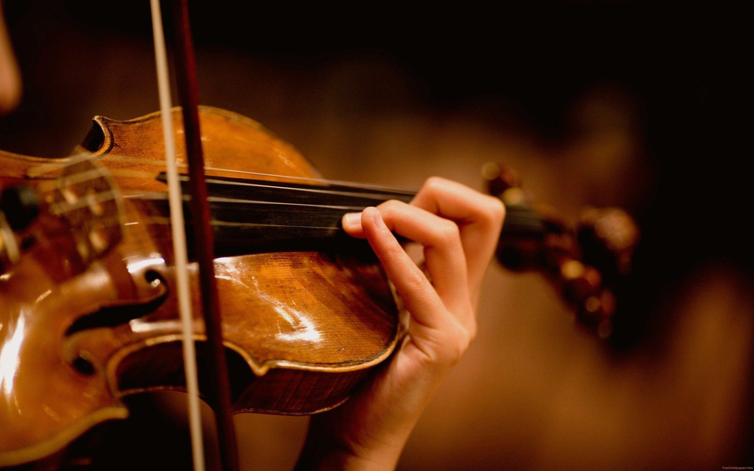 Violin Wallpapers Top Free Violin Backgrounds WallpaperAccess