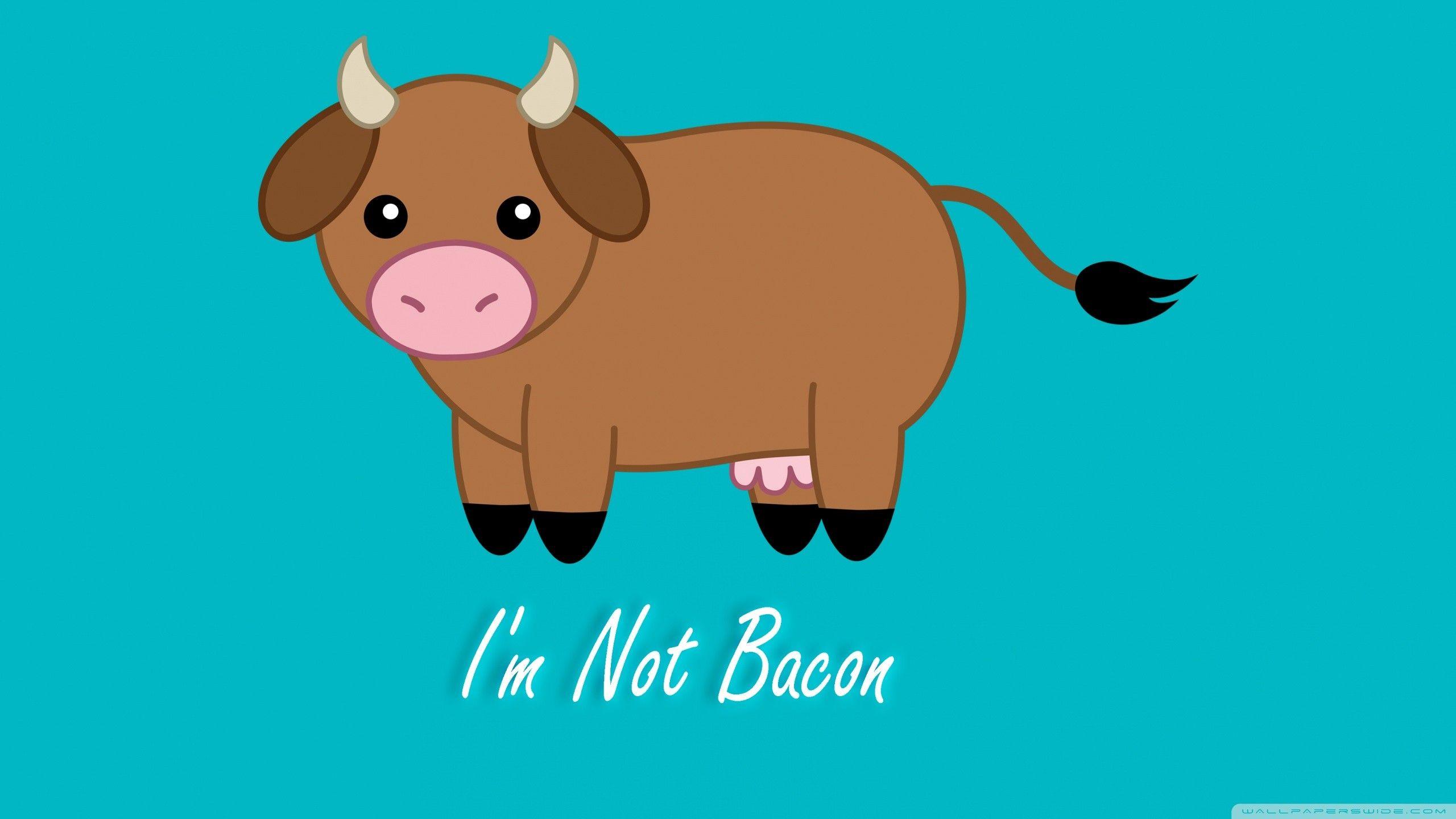 Cute Cartoon Cow Wallpapers Top Free Cute Cartoon Cow Backgrounds