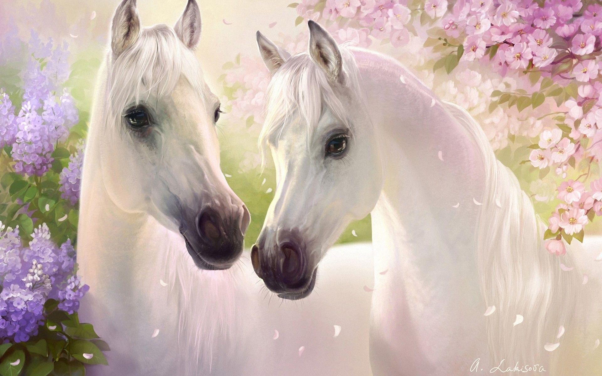 Beautiful Horses Wallpapers Top Free Beautiful Horses Backgrounds