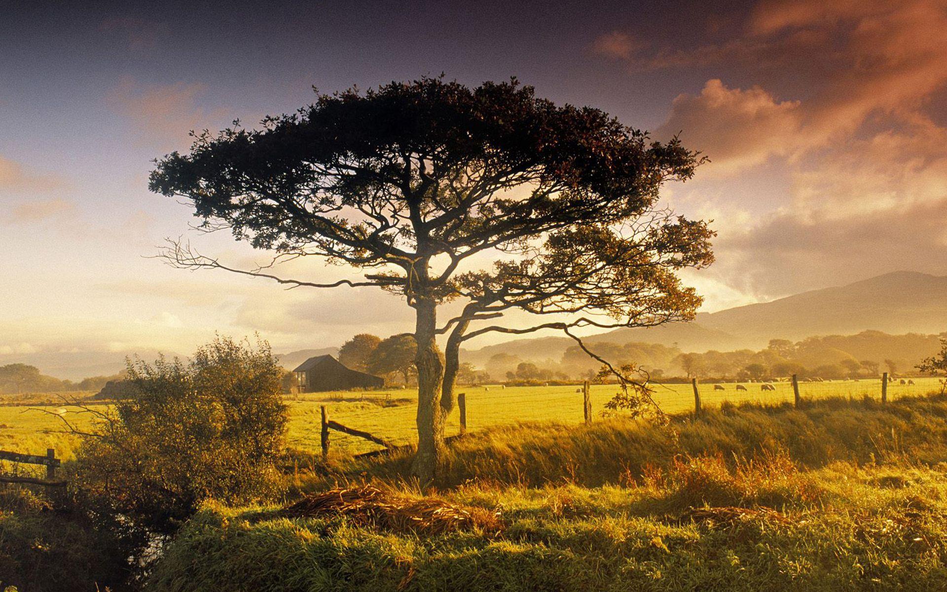 England Landscape Wallpapers Top Free England Landscape Backgrounds