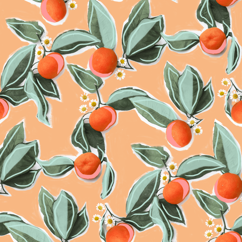 Orange Blossom Wallpapers Top Free Orange Blossom Backgrounds