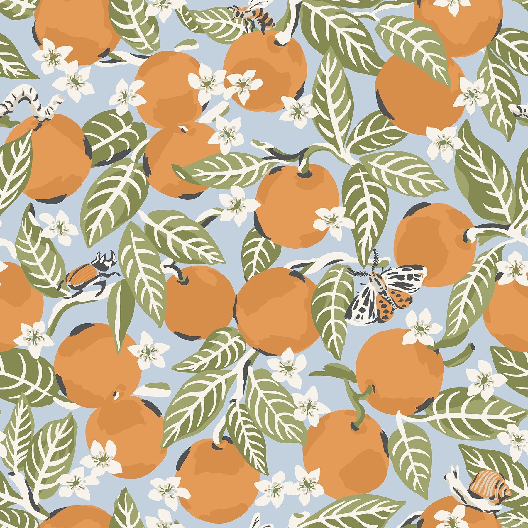 Orange Blossom Wallpapers Top Free Orange Blossom Backgrounds