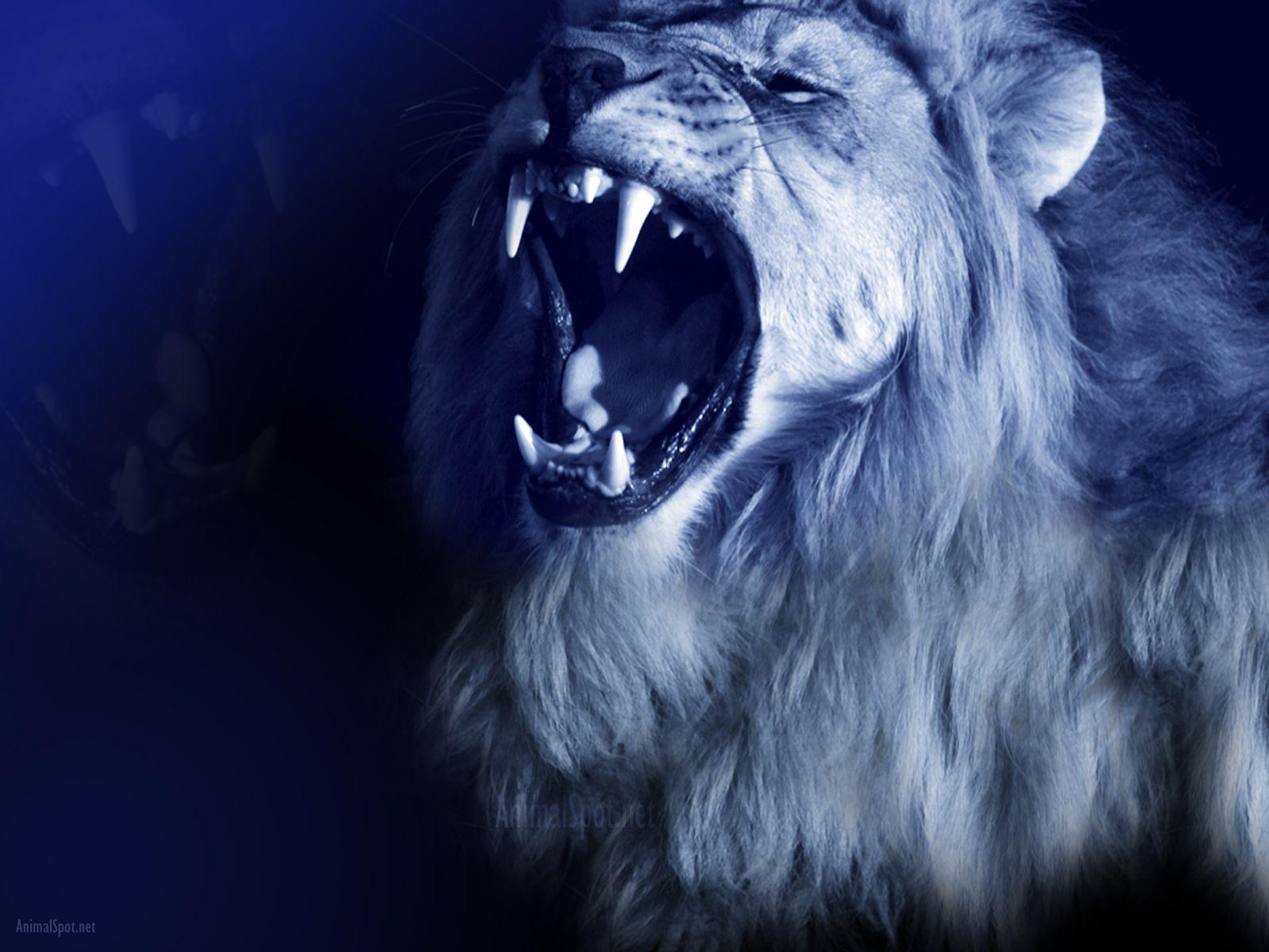 Blue Lion Wallpapers Top Free Blue Lion Backgrounds WallpaperAccess