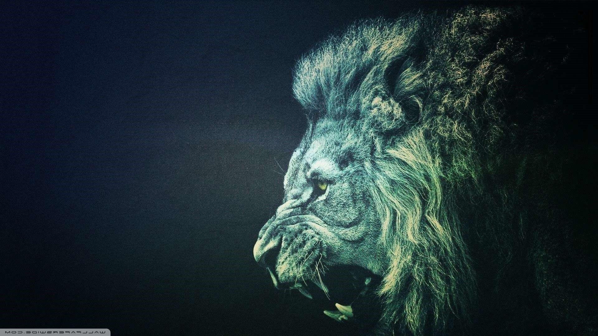 Dark Lion Wallpapers Top Free Dark Lion Backgrounds WallpaperAccess