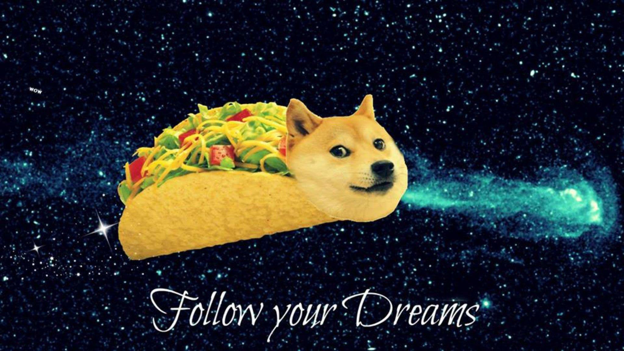 Doge Wallpapers Top Free Doge Backgrounds WallpaperAccess
